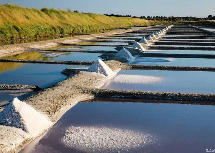 Cote Phares, 4 Etoiles, 43 M2 Vue Les Sables-dʼOlonne